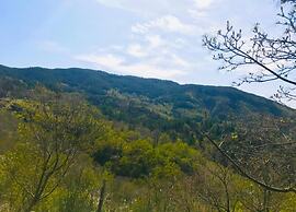 Apartment in Poppi With Shared Pool