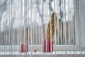 Tokyo Vibes Hostel with more privacy (Self Check in)