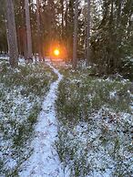DR ASA Bed Breakfast near Golf Forest