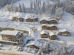 Chalet in Wagrain on Ski Slopes