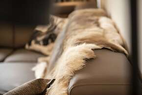 Penthouse in Salzburg With Balcony Views