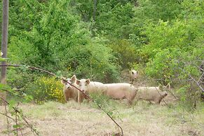 Tuscan-styled Apartment in Tuscany/elba