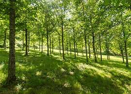 Tuscan-styled Apartment in Tuscany/elba