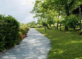 Tuscan-styled Apartment in Tuscany/elba