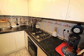 Spacious Apt. With Barbecue in Roses