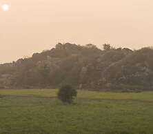 Neem Sarai Sariska