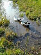 Don Edmundo Trevelin