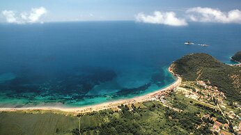 Luxury Apartments Queen