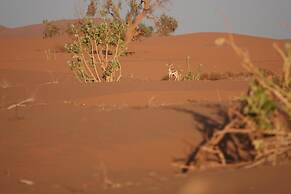 Bivouac joudour sahara