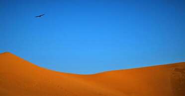 Bivouac joudour sahara