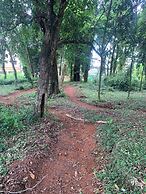 vereda bike park hotel