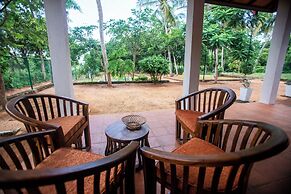 Buddhi's Grove