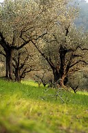 Boutique Hotel Villa Monty Banks