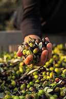 Boutique Hotel Villa Monty Banks