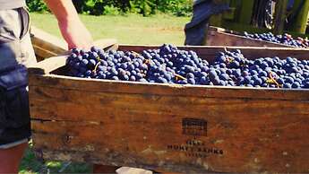 Boutique Hotel Villa Monty Banks