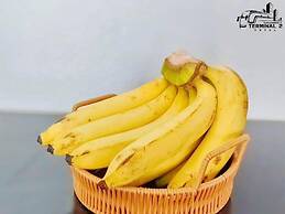 Terminal2 Hotel Phukettown