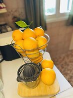 Airport Cottage House