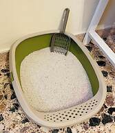 Airport Cottage House