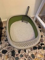 Airport Cottage House