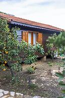 Tatil Evi Dilek Cıralı