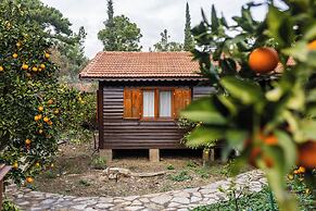 Tatil Evi Dilek Cıralı