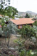 Tatil Evi Dilek Cıralı