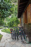 Tatil Evi Dilek Çıralı