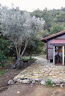 Tatil Evi Dilek Cıralı