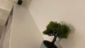 De Parys Premier Lodge 3 in Bedford