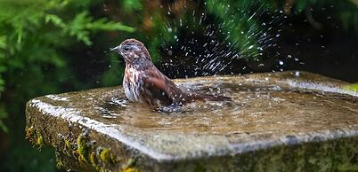 The Grand Haveli Resort By Atya Hotels