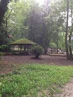 Room-charming Vienna Retreat With Garden