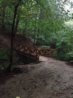 Room-charming Vienna Retreat With Garden