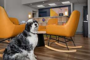 Spark By Hilton Albuquerque North I-25