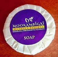 Mookambigai residency