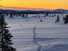 Modern Mountain Cabin - 3 Bedrooms - Sleeps 7