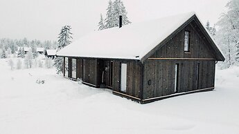 Modern Mountain Cabin - 3 Bedrooms - Sleeps 7