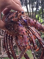 Beachfront Oasis in Mahambo, Madagascar - Chalet Retreat