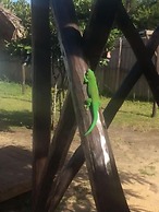 Beachfront Oasis in Mahambo, Madagascar - Chalet Retreat