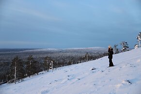 Arctic Verge