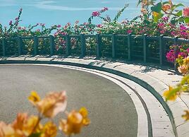 Apec Continental Cham