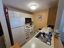 Fall Line Condo C3 1 Bedroom Condo