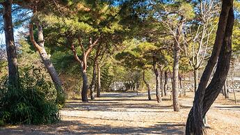 Gyeongju Orion Caravan
