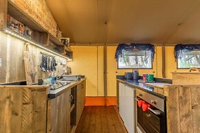 Host Stay Giraffe Enclosure