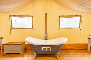 Host Stay Giraffe Enclosure