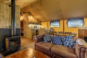 Host Stay Giraffe Enclosure