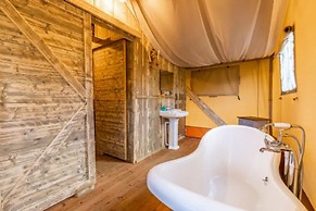 Host Stay Giraffe Enclosure