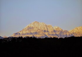 Qingcheng Mount SuXi Qingshan Forest Hotel