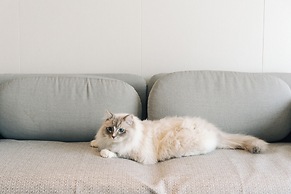 Nian hotel & resorts