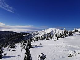 Villa Near Ski Resort Cerny Dul
