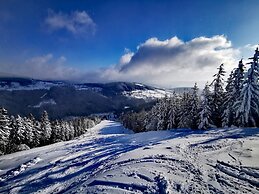 Villa in Cerny Dul Near Ski Resort
